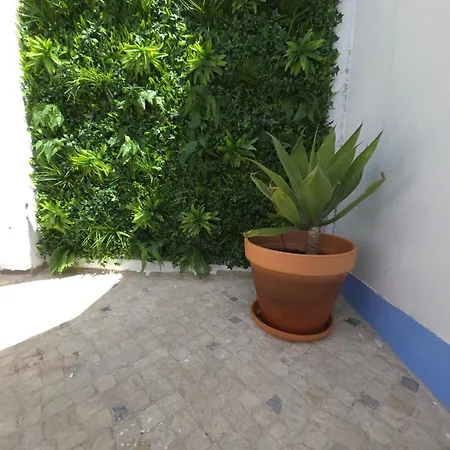 Casinhas Da Ajuda Nº 9-1 * Lissabon